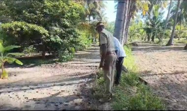 ஆடுகளை கடித்துக் கொன்ற சிறுத்தை! ஒருவேளை அதுதான் இதுவோ?!