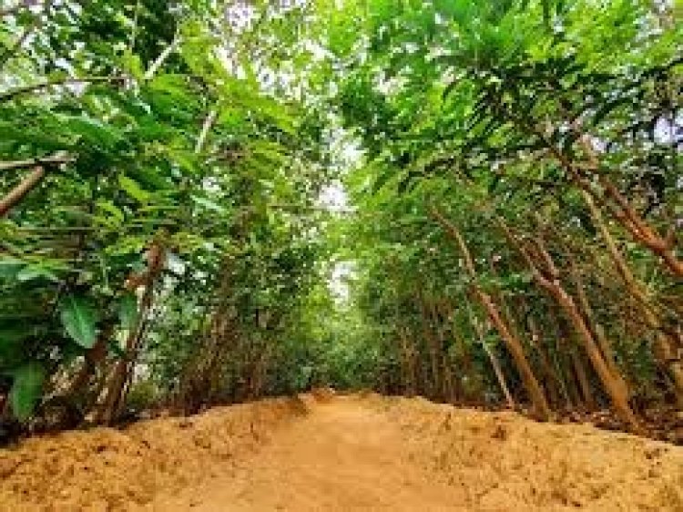 வனத்துறையின் நிலத்தை தனிநபருக்கு பதிவு செய்து கொடுத்த சார்பதிவாளர் சஸ்பெண்டு!