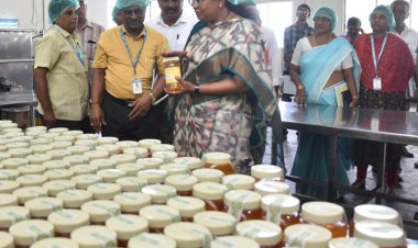 உடைந்து போன டிரேக்களில் ஆவின் பாலா? கலெக்டர் அதிரடி!