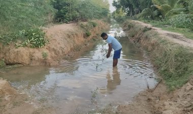 காவிரி நீர் எங்களை நனைத்து விட்டாள்! சமூக ஆர்வலர் மகிழ்ச்சி!