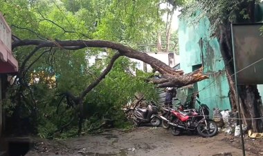 மின்வாரிய ஊழியர்களின் அலட்சியம்! வேலூர் திருப்பத்தூர் மாவட்டங்களில் பாதிப்பு!