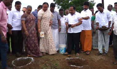 பனைவிதை நட்ட ஆட்சியர் மற்றும் எம் .எல் .ஏ.!