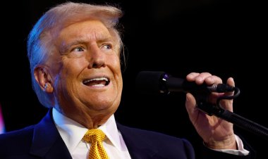 மீண்டும் அதிபர் ஆகும் டொனால்ட் டிரம்ப்! வாக்கு எண்ணிக்கையில் முந்துகிறார்!