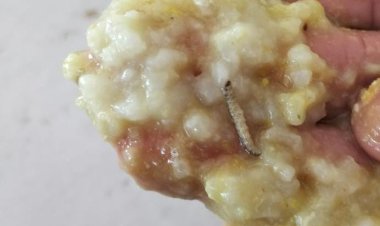  தமிழ்நாடு மத்திய பல்கலை மாணவர்களுக்கு புழு பூச்சி உணவு! பகீர் குற்றச்சாட்டு!