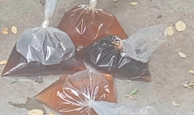 வண்ணமயமாக சந்தைக்கு வந்த கள்ளச் சாராயம்! வாணியம்பாடியில் பலே பிசினஸ்!