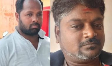 கிவி பழமும் நியூசிலாந்தில் வேலையும்...மோசடியோ மோசடி!