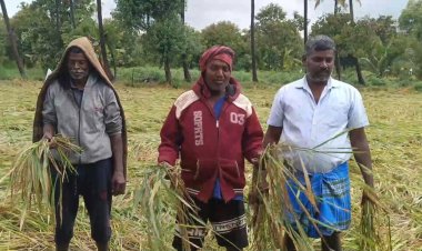 வடமாவட்ட விவசாயிகள் வேதனை!