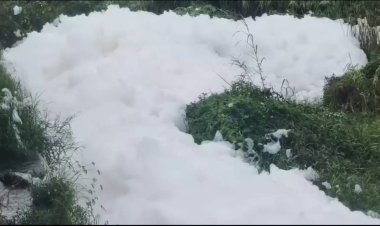 பாலாற்றில் இராசாயன கழிவு நீர் கலப்பு! டேய் நீங்க திருந்தவே மாட்டீங்களா?