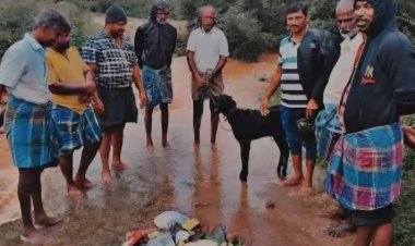 ஏரி நிரம்பியதால் கிடாவெட்டி கறிவிருந்து!