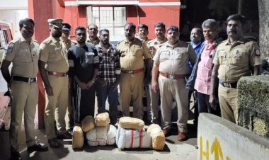 26.500 கஞ்சா பறிமுதல்! சோதனைச்சாவடியால் சிக்கினர்!