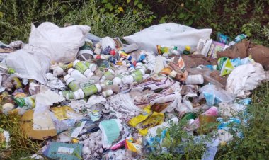 சட்டக்கல்லூரி அருகே கொட்டிக்கிடக்கும் காலாவதி மருந்துகள்!