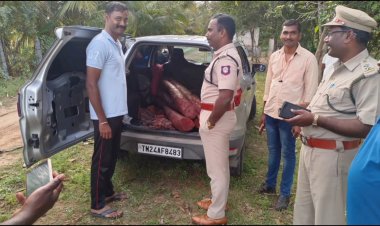 தனிப்பிரிவைச் சேர்ந்தவருக்கு தெரிந்தே செம்மரம் வியாபாரம் நடந்ததா?