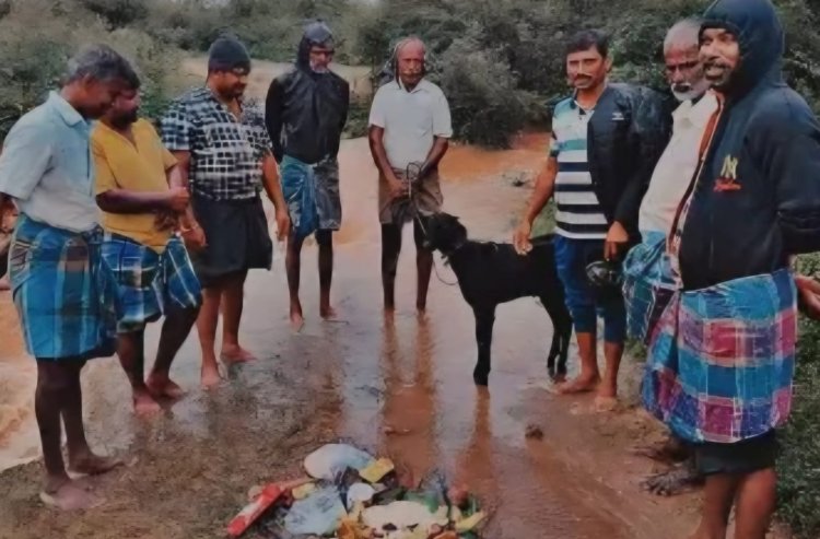 ஏரி நிரம்பியதால் கிடாவெட்டி கறிவிருந்து!