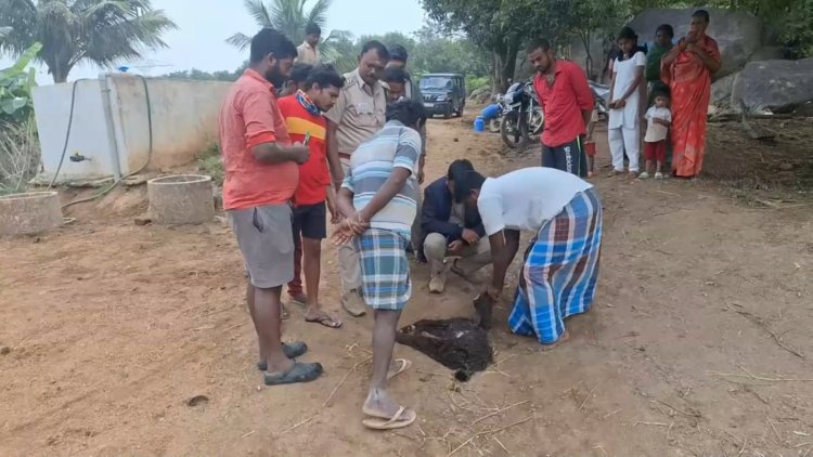 போக்கு காட்டும் சிறுத்தை! ஓடி ஓடி தேடும் வனத்துறையினர்!