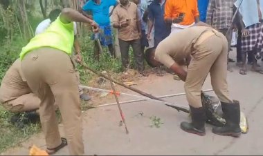 விஷ ஜந்தை லாவகமாக பிடித்த தீயணைப்பு வீரர்கள்! மூஞ்சூர்பட்டு மாடுபிடி!