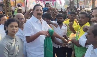 அடேங்கப்பா காளைகள்!களைகட்டிய இராணிப்பேட்டை - திருப்பத்தூர் மாவட்டங்கள்!