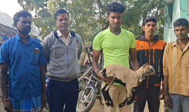 சிறுத்தையை தேடுகிறார்கள் தேடுவார்கள் தேடிக்கொண்டே இருப்பார்கள்!