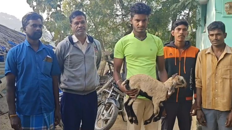 சிறுத்தையை தேடுகிறார்கள் தேடுவார்கள் தேடிக்கொண்டே இருப்பார்கள்!