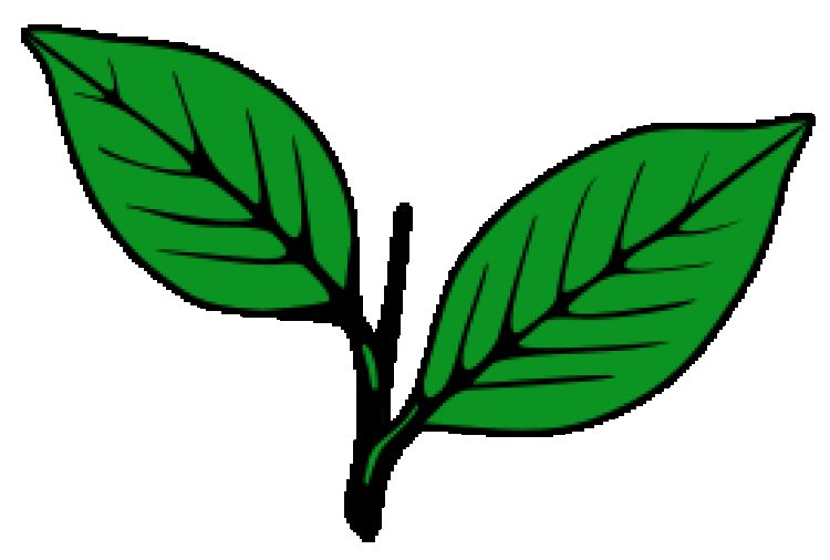 இரட்டை இலை சின்னத்துக்கு ஆபத்தா? அதிமுக உட்கட்சி விவகாரத்தை தேர்தல் ஆணையம் விசாரிக்கலாம்!