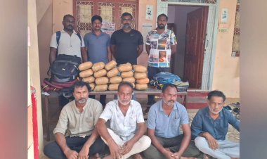 20 கிலோ கஞ்சா பறிமுதல்!திருப்பத்தூர் கலால் போலீசார் வழக்கு பதிவு!