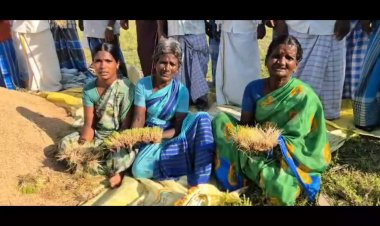 நேரடி கொள்முதல் நிலையம் அமைக்க மறுக்கும் மாவட்ட நிர்வாகம்!