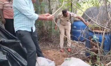 எஸ்.பி.உத்தரவின் பேரில் சாராய ஊறல்கள் அழிப்பு!