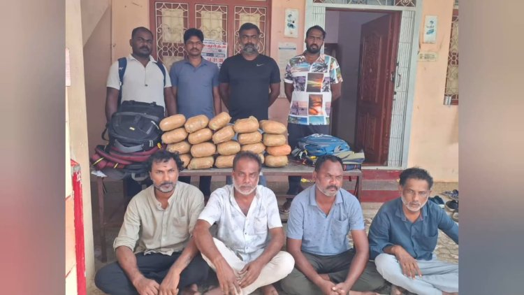 20 கிலோ கஞ்சா பறிமுதல்!திருப்பத்தூர் கலால் போலீசார் வழக்கு பதிவு!