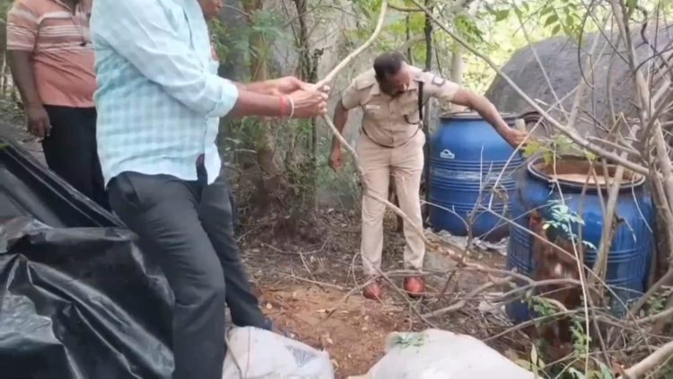 எஸ்.பி.உத்தரவின் பேரில் சாராய ஊறல்கள் அழிப்பு!