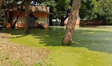 பல்லை இளிக்கும் பள்ளிக்கூட பரிதாபங்கள்! மாதம் பிறந்தால் அரசு சம்பளம் அள்ளும் அதிகாரிகள்!