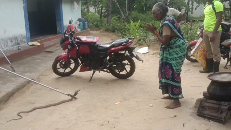 கையெடுத்து கும்பிட்டு பாம்பை வழியனுப்பிய மூதாட்டி!