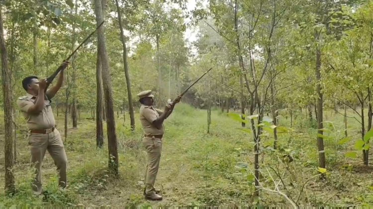 வேட்டைகாரரின் துப்பாக்கியில் சுட்டு பார்த்த வன அதிகாரிகள்!