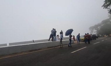    பனி மூட்டத்தின் மத்தியில் ஏலகிரி!குரங்காருடன் ஒரு செல்பி!