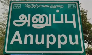 நெற்பயிரை ருசிக்கும் காட்டுப் பன்றிகள்! குறட்டையில் வன அதிகாரிகள்!