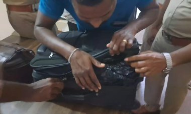 காட்பாடியை குறிவைத்து கடத்தப்படும் கஞ்சா! ஐந்து பேருக்கு வலை வீச்சு!