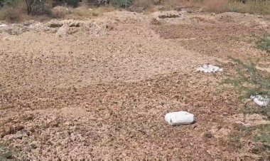 ஆட்டு ரோமத்தால் நிலத்தடி நீர் பாதிப்பு! தடுத்து நிறுத்த சமூக ஆர்வலர் கோரிக்கை!.