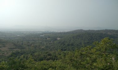  உறவினர்களால் பறி போதும் சீட்! சந்தன மாவட்ட சிட்டிங் எம். எல். ஏ. பறிதவிப்பு!