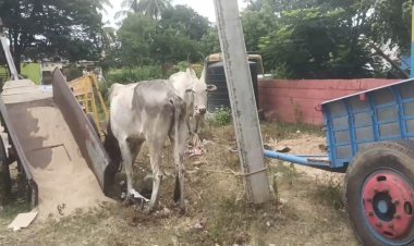 எந்த கேட்டை போட்டாலும் அடங்காத மணல் கொள்ளையர்கள்!