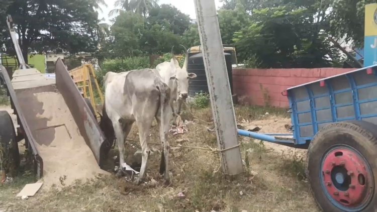 எந்த கேட்டை போட்டாலும் அடங்காத மணல் கொள்ளையர்கள்!