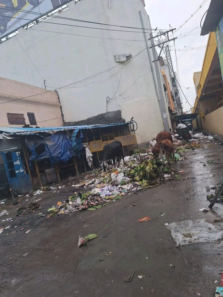 வேலூர் பழைய பேருந்து நிலையம் குப்பைக் கிடங்காக மாறுகிறதா? – மாநகராட்சி நிர்வாகம் என்ன செய்யப் போகிறது? சுகாதாரச் சீர்கேடு, ஆக்கிரமிப்பு, வாகன நெரிசல்... பொதுமக்களின் பாதுகாப்பு கேள்விக்குறி!