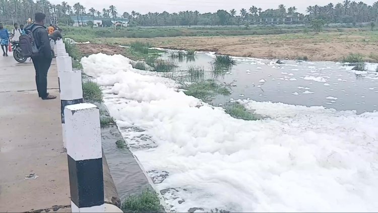 மழை வந்தால் ஆம்பூர் பாலாற்றில் நச்சு நுரை! 15 நாட்களில் பலமுறை தொடரும் அவலம் – அதிகாரிகள் நடவடிக்கை எப்போது?  விவசாயிகளின் வாழ்வாதாரத்தைக் காக்க போலீஸில் புகார் அளிக்கவும் திட்டம்!